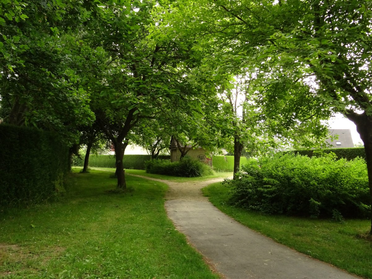 Vue d'une voie douce ornée de Catalpa, Châteaugiron (35)