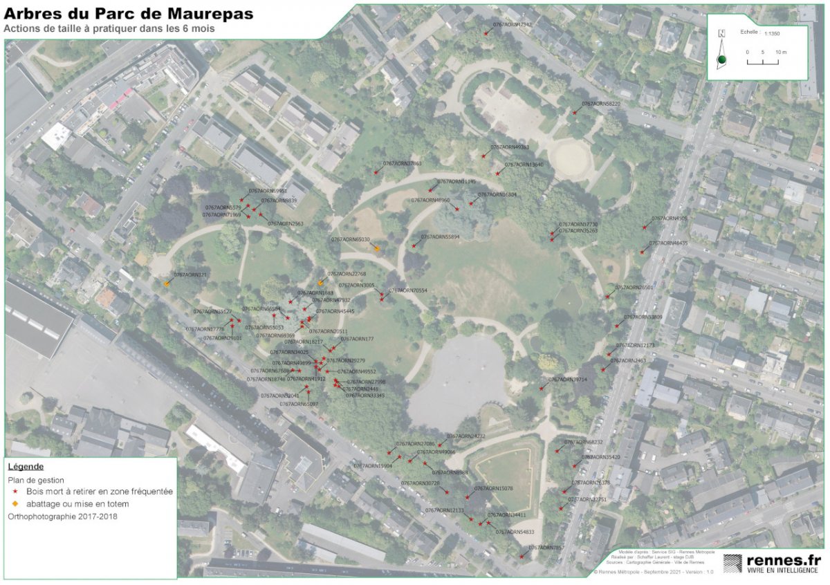 Cartographie Qgis des actions d'élagage à effectuer en urgence